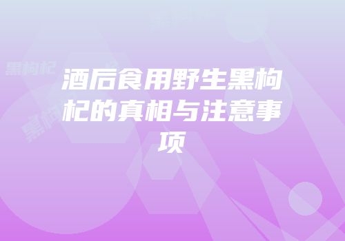 酒后食用野生黑枸杞的真相与注意事项