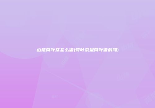 山楂荷叶茶怎么做(荷叶茶是荷叶做的吗)