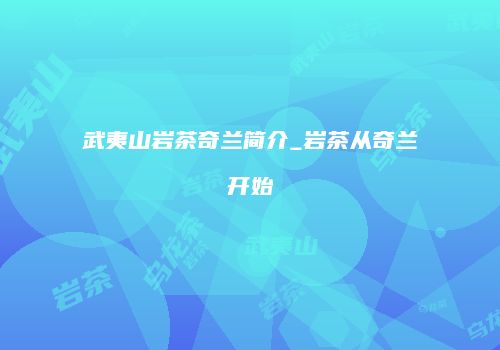 武夷山岩茶奇兰简介_岩茶从奇兰开始