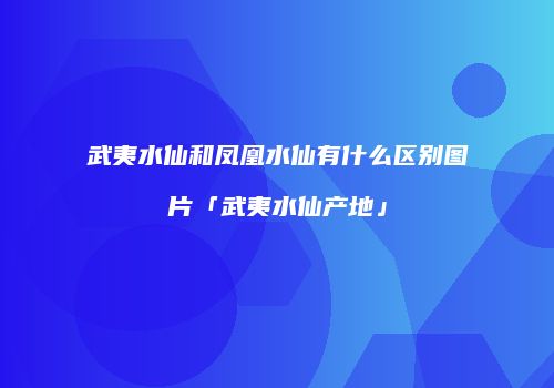 武夷水仙和凤凰水仙有什么区别图片「武夷水仙产地」