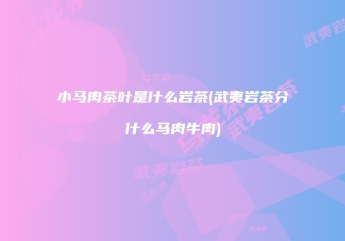 小马肉茶叶是什么岩茶(武夷岩茶分什么马肉牛肉)