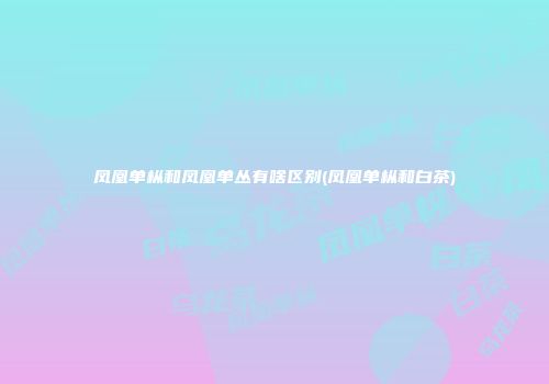 凤凰单枞和凤凰单丛有啥区别(凤凰单枞和白茶)