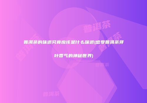 普洱茶的味道究竟应该是什么味道(感受普洱茶芽叶香气的神秘世界)