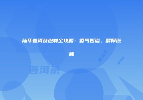 陈年普洱茶泡制全攻略：香气四溢，醇厚滋味