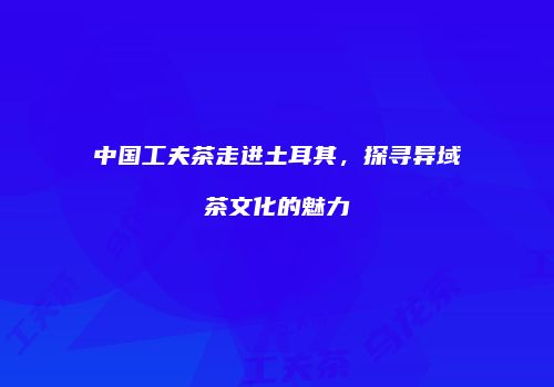 中国工夫茶走进土耳其，探寻异域茶文化的魅力