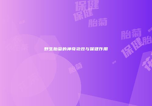 野生胎菊的神奇功效与保健作用