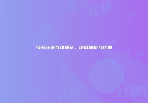 芍药花茶与玫瑰花：详尽解析与区别