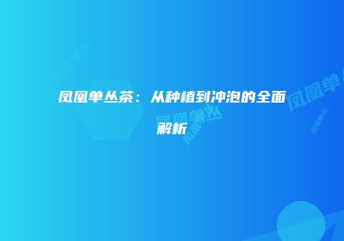 凤凰单丛茶：从种植到冲泡的全面解析