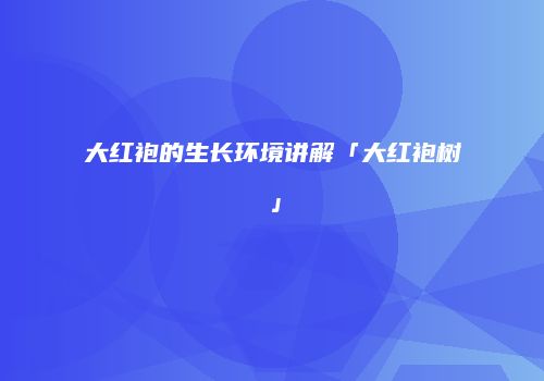 大红袍的生长环境讲解「大红袍树」