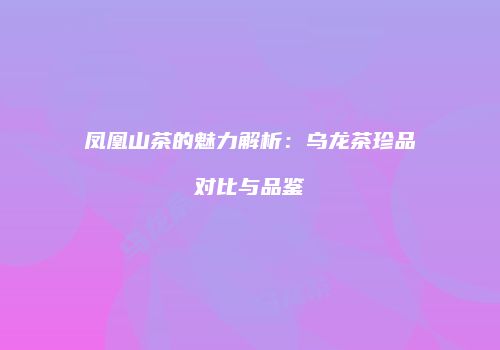 凤凰山茶的魅力解析：乌龙茶珍品对比与品鉴