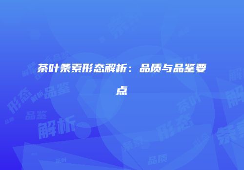 茶叶条索形态解析：品质与品鉴要点