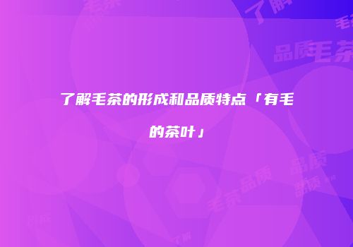 了解毛茶的形成和品质特点「有毛的茶叶」