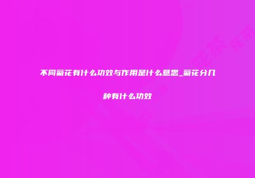 不同菊花有什么功效与作用是什么意思_菊花分几种有什么功效