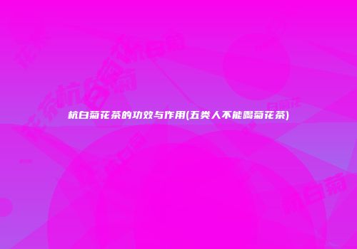 杭白菊花茶的功效与作用(五类人不能喝菊花茶)