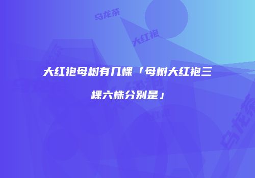 大红袍母树有几棵「母树大红袍三棵六株分别是」