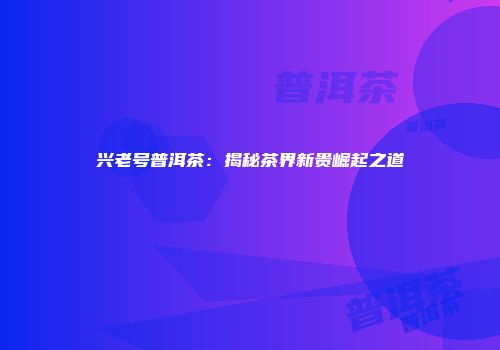 兴老号普洱茶：揭秘茶界新贵崛起之道