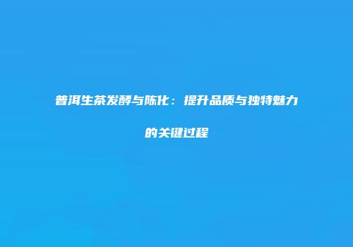 普洱生茶发酵与陈化：提升品质与独特魅力的关键过程