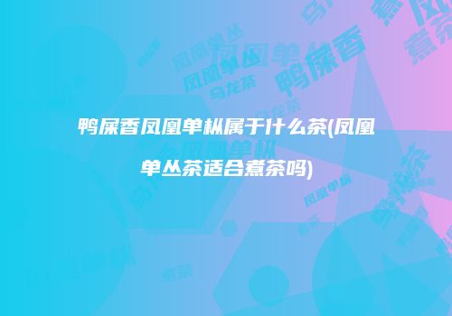 鸭屎香凤凰单枞属于什么茶(凤凰单丛茶适合煮茶吗)