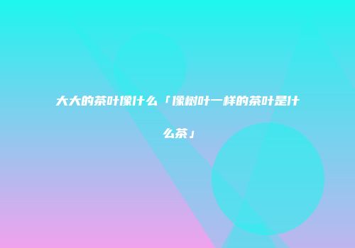 大大的茶叶像什么「像树叶一样的茶叶是什么茶」