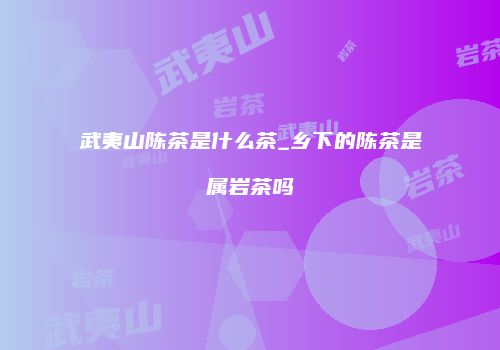 武夷山陈茶是什么茶_乡下的陈茶是属岩茶吗