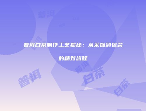 普洱白茶制作工艺揭秘：从采摘到包装的精致旅程