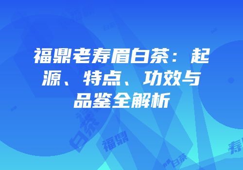 福鼎老寿眉白茶：起源、特点、功效与品鉴全解析
