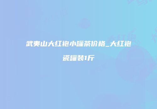 武夷山大红袍小罐茶价格_大红袍瓷罐装1斤