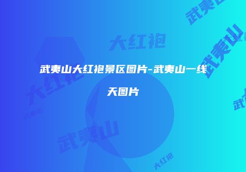 武夷山大红袍景区图片-武夷山一线天图片