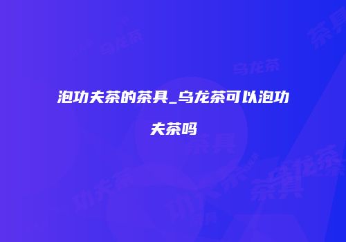 泡功夫茶的茶具_乌龙茶可以泡功夫茶吗