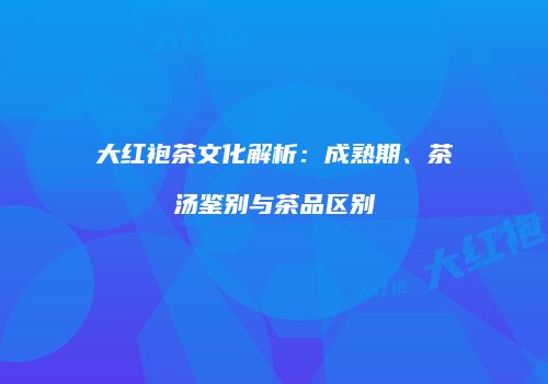 大红袍茶文化解析：成熟期、茶汤鉴别与茶品区别