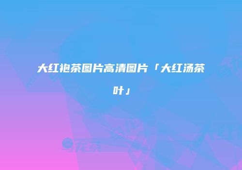 大红袍茶图片高清图片「大红汤茶叶」