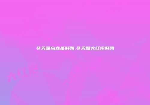 冬天喝乌龙茶好吗,冬天和大红袍好吗