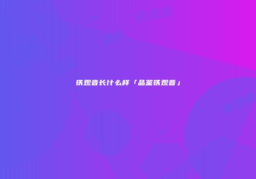 铁观音长什么样「品鉴铁观音」
