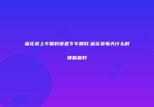 菊花茶上午喝好还是下午喝好,菊花茶每天什么时候喝最好