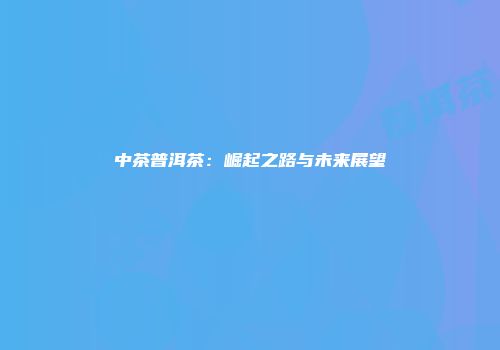 中茶普洱茶：崛起之路与未来展望