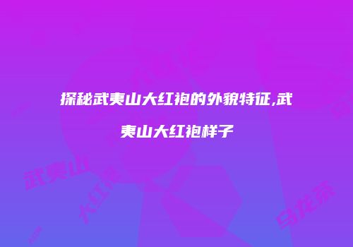 探秘武夷山大红袍的外貌特征,武夷山大红袍样子