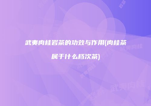 武夷肉桂岩茶的功效与作用(肉桂茶属于什么档次茶)