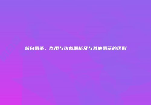 杭白菊茶：作用与功效解析及与其他菊花的区别