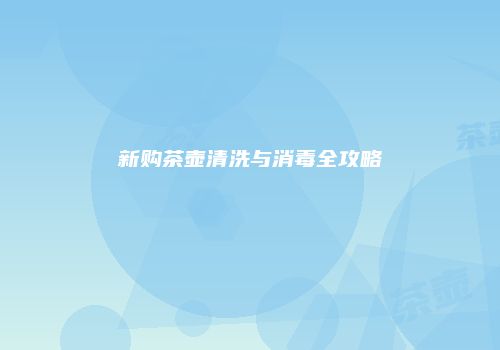 新购茶壶清洗与消毒全攻略