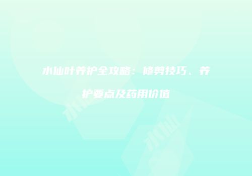 水仙叶养护全攻略：修剪技巧、养护要点及药用价值