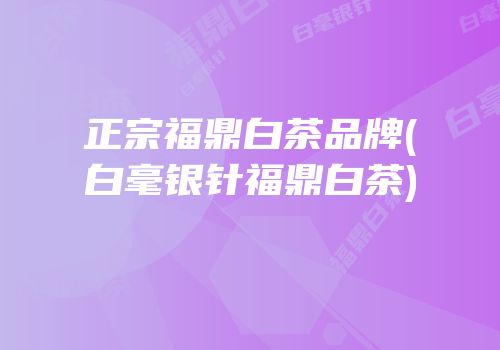 正宗福鼎白茶品牌(白毫银针福鼎白茶)