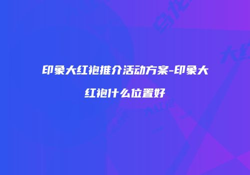 印象大红袍推介活动方案-印象大红袍什么位置好