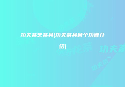 功夫茶艺茶具(功夫茶具各个功能介绍)