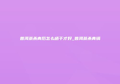 普洱茶杀青后怎么晒干才好_普洱茶杀青锅