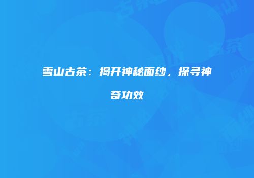 雪山古茶：揭开神秘面纱，探寻神奇功效