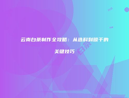 云南白茶制作全攻略：从选料到晾干的关键技巧