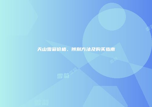 天山雪菊价格、辨别方法及购买指南