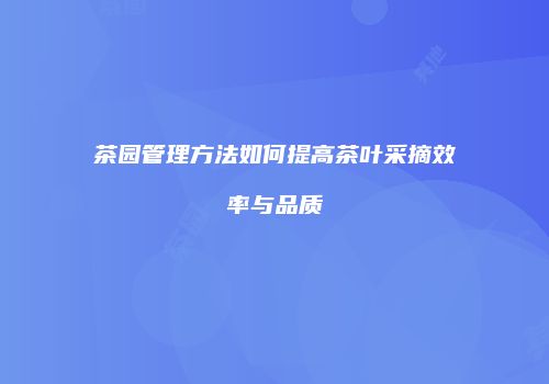 茶园管理方法如何提高茶叶采摘效率与品质