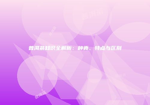 普洱茶知识全解析：种类、特点与区别