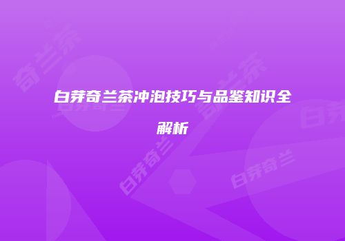 白芽奇兰茶冲泡技巧与品鉴知识全解析